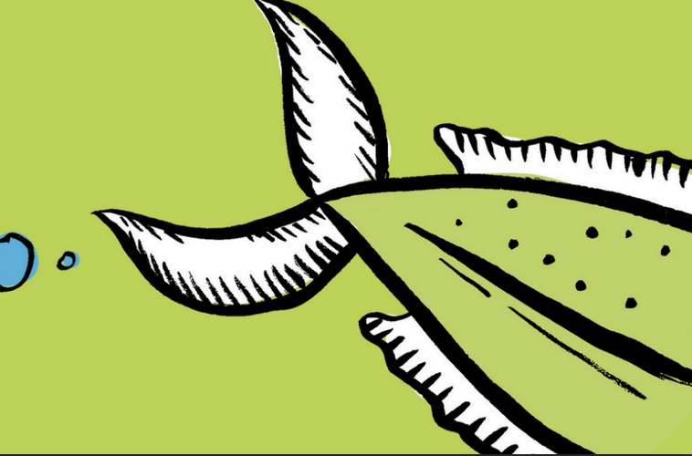 Illustration of fish and hooks with the words "don't get phished" and "shira.app"