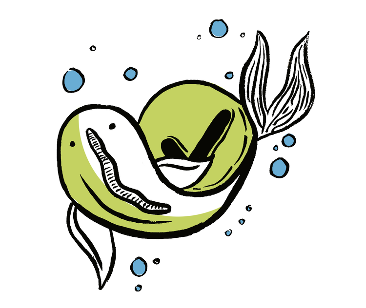 Illustration d'un poisson avec des bulles